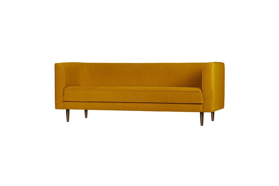 The Studio 3 seater velvet sofa is from the Dutch brand VTwonen