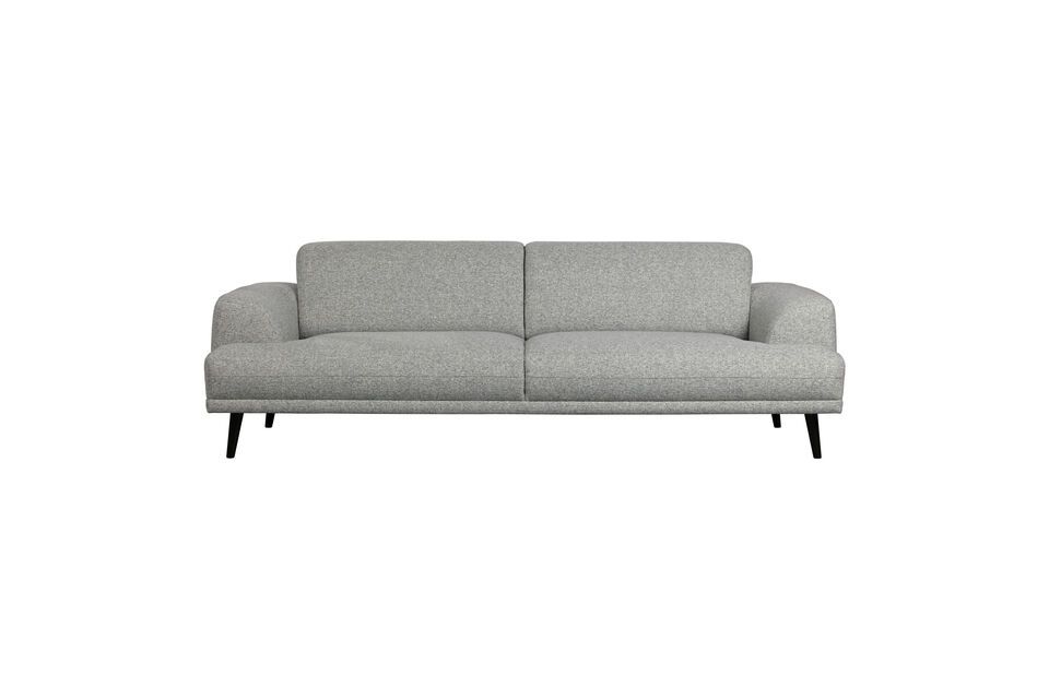 Ash shop gray sofa