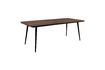 Miniature Alagon Table 220X90 10