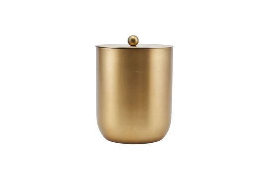 Alir gold stainless steel ice bucket Clipped