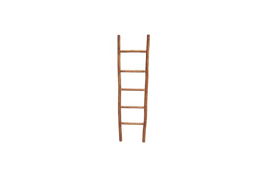 Anla Driftwood Ladder Clipped