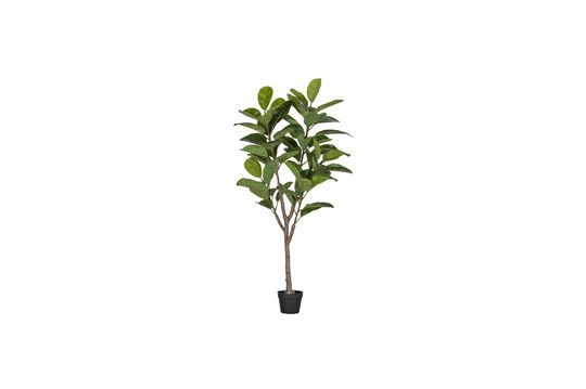 Artificial green plant Rubberboom