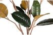 Miniature Artificial plant Rubber 4