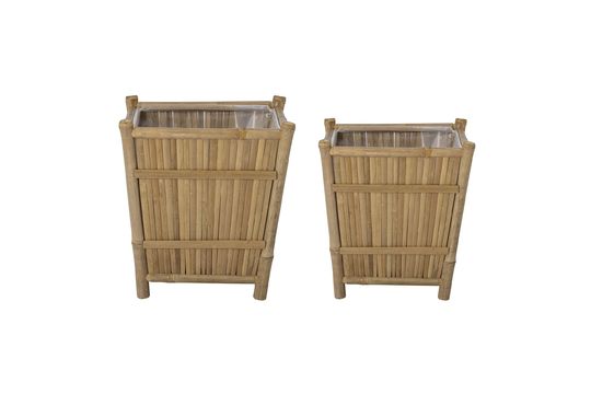 Bamboo flower pots Sole Clipped