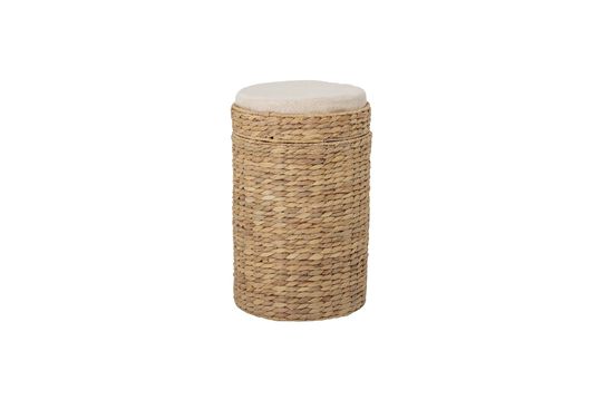 Basket with lid Iva