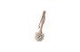 Miniature Beech dish brush Clipped