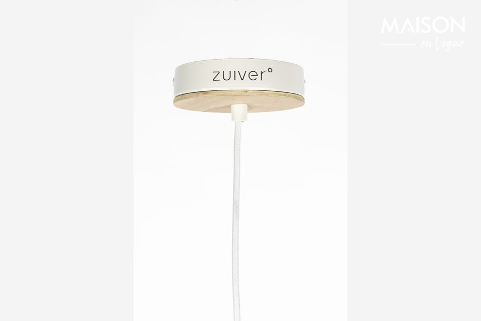 Measuring 65 cm in diameter and reaching a height of 200 cm