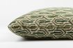 Miniature Beverly Green Cushion 8