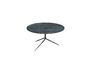 Miniature Black Bee coffee table Clipped