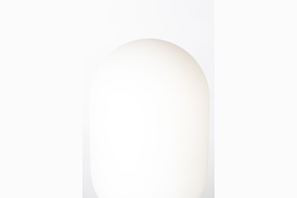 With dimensions of 12