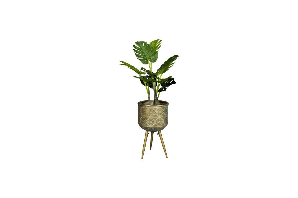 Botanical Plant Stand size M - 9