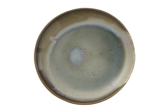 Bruyère multicolored plate