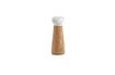 Miniature Craft Salt Mill Small 1