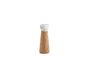 Miniature Craft Salt Mill Small Clipped