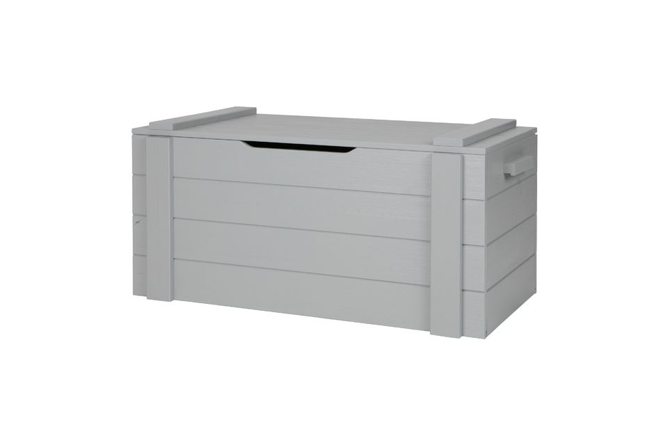 Dennis light grey wood storage box - 3