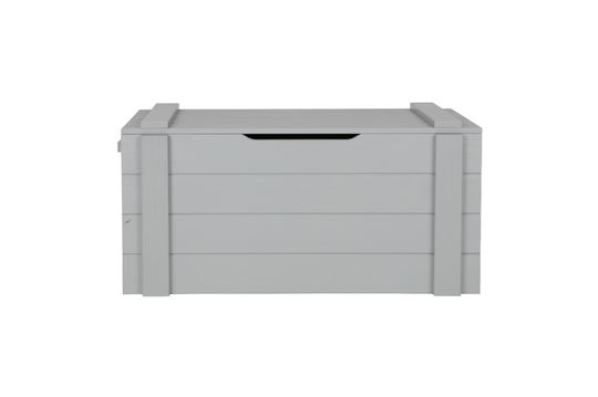 Dennis light grey wood storage box