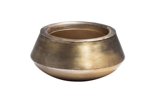 Ezio golden metal plant bowl Clipped
