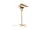 Miniature Falcon Brass desk lamp Clipped