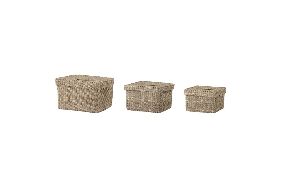 Givan sea rush baskets with lid - 5