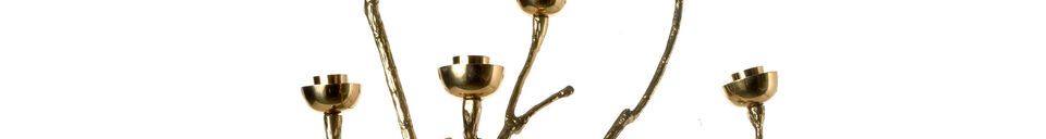 Material Details Golden brass candle holder Twiggy