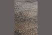 Miniature Gray fabric carpet Rugged 10