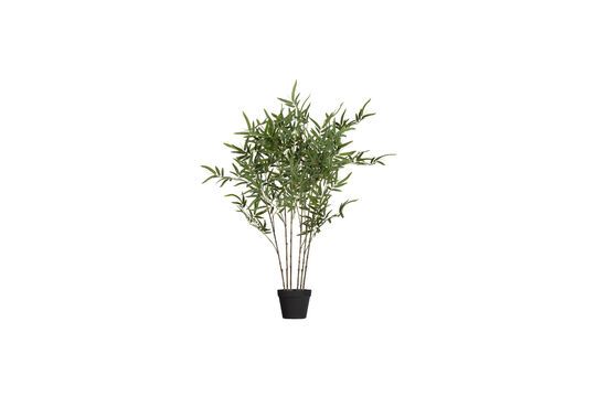 Green artificial plant Bambusa Clipped