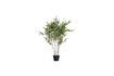 Miniature Green artificial plant Bambusa 1