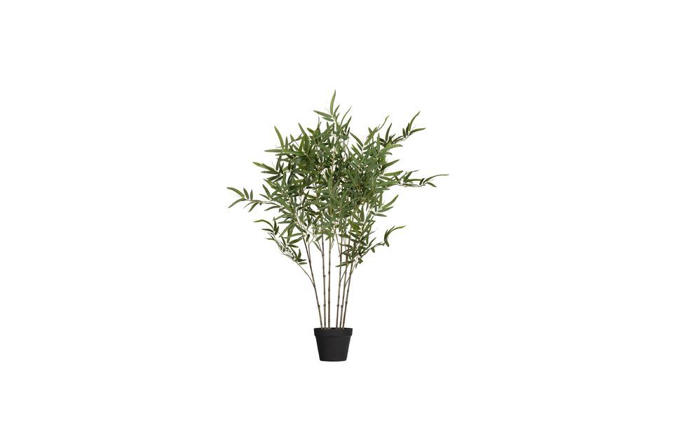 Green artificial plant Bambusa Woood