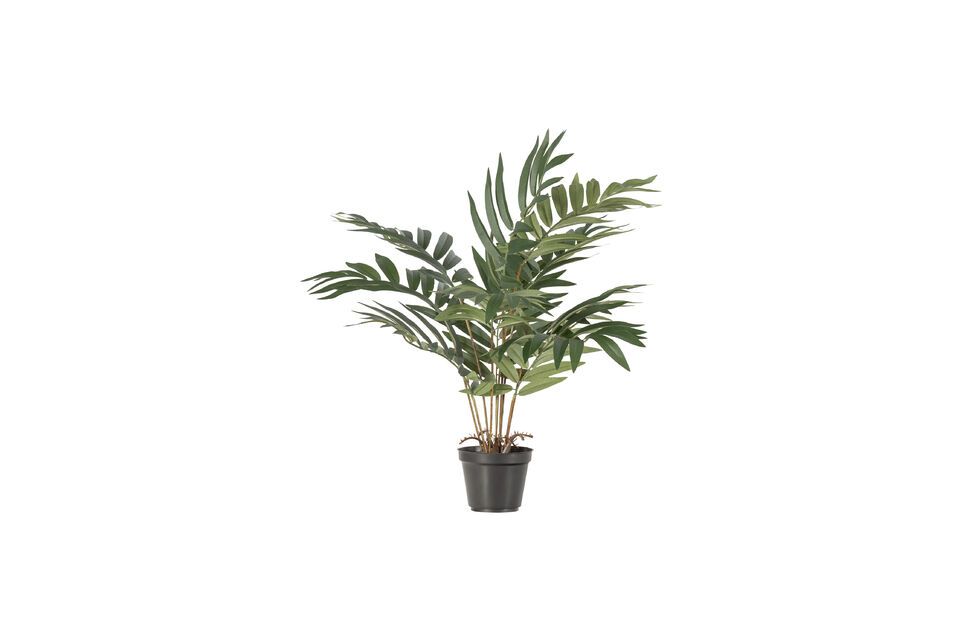 High quality plant, it is made of polyester and plastic