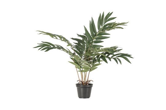 Green artificial plant Kwai Clipped