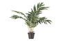 Miniature Green artificial plant Kwai Clipped