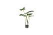 Miniature Green artificial plant Monstrera 3