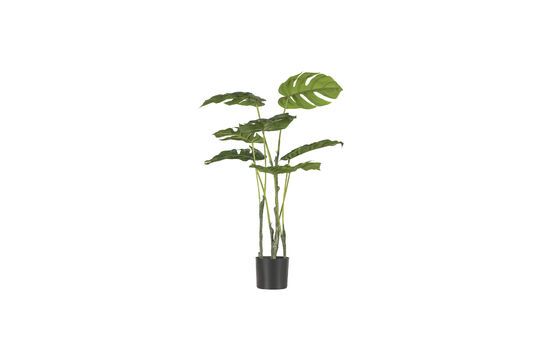 Green artificial plant Monstrera Clipped