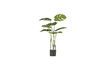 Miniature Green artificial plant Monstrera 1