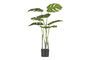Miniature Green artificial plant Monstrera Clipped