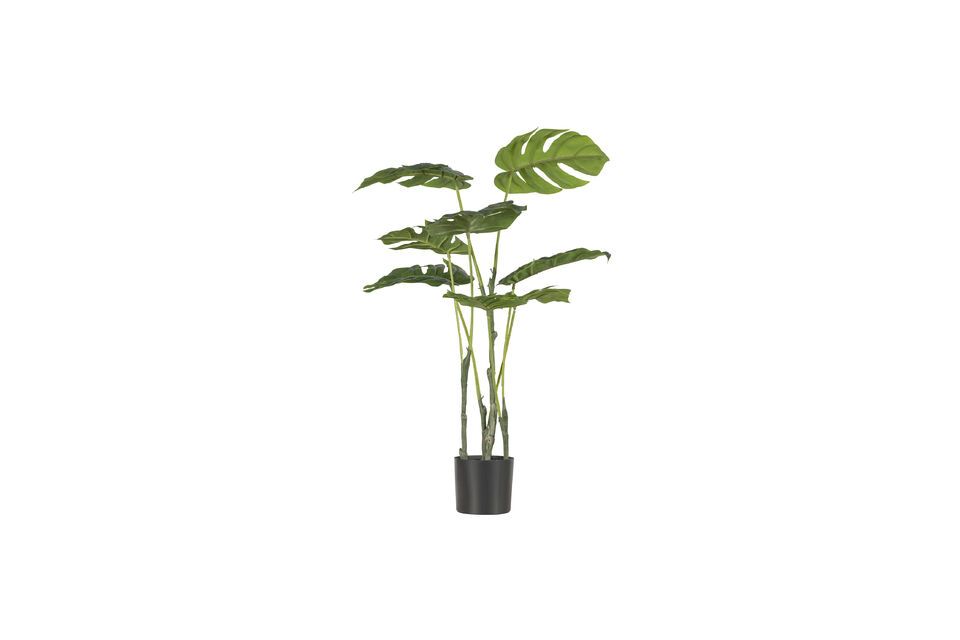 Green artificial plant Monstrera Woood