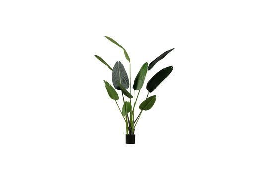 Green artificial plant Strelitzia Clipped