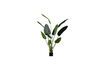 Miniature Green artificial plant Strelitzia 1