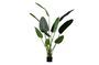 Miniature Green artificial plant Strelitzia Clipped