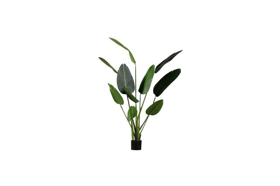 Green artificial plant Strelitzia Woood