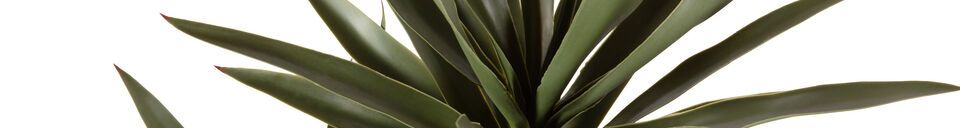 Material Details Green artificial plant Yucca