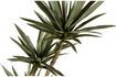 Miniature Green artificial plant Yucca 4