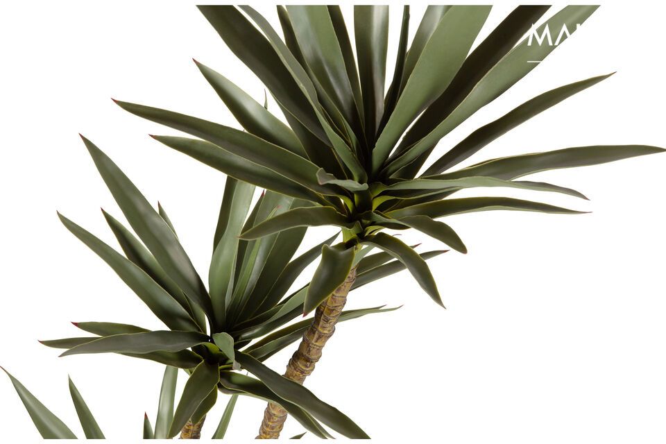The green Yucca artificial plant belongs to the collection of the Dutch trendy interior brand WOOD