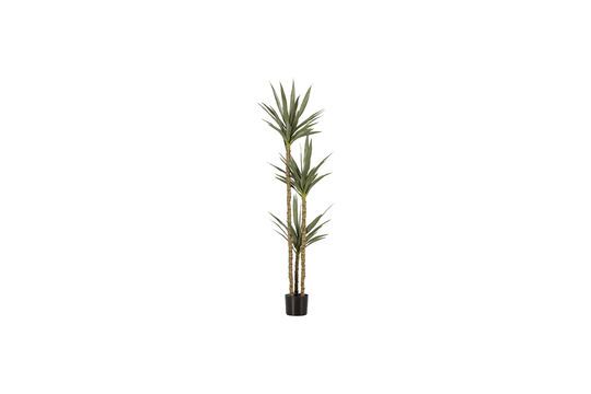 Green artificial plant Yucca Clipped