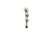 Miniature Green artificial plant Yucca 1