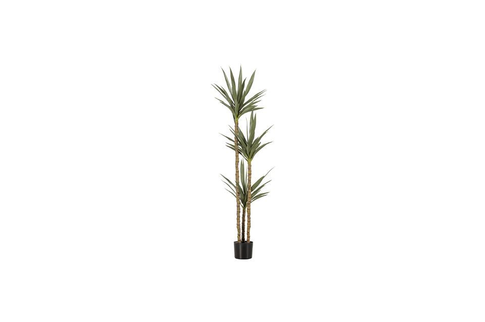 Green artificial plant Yucca Woood