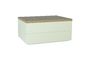 Miniature Green eucalyptus wood storage box Free Clipped