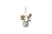 Miniature Grey stoneware flower pot Ileana 3