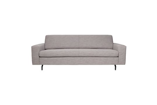 Jean Sofa 2,5-seater Grey Clipped
