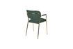 Miniature Jolien armchair gold and dark green 9